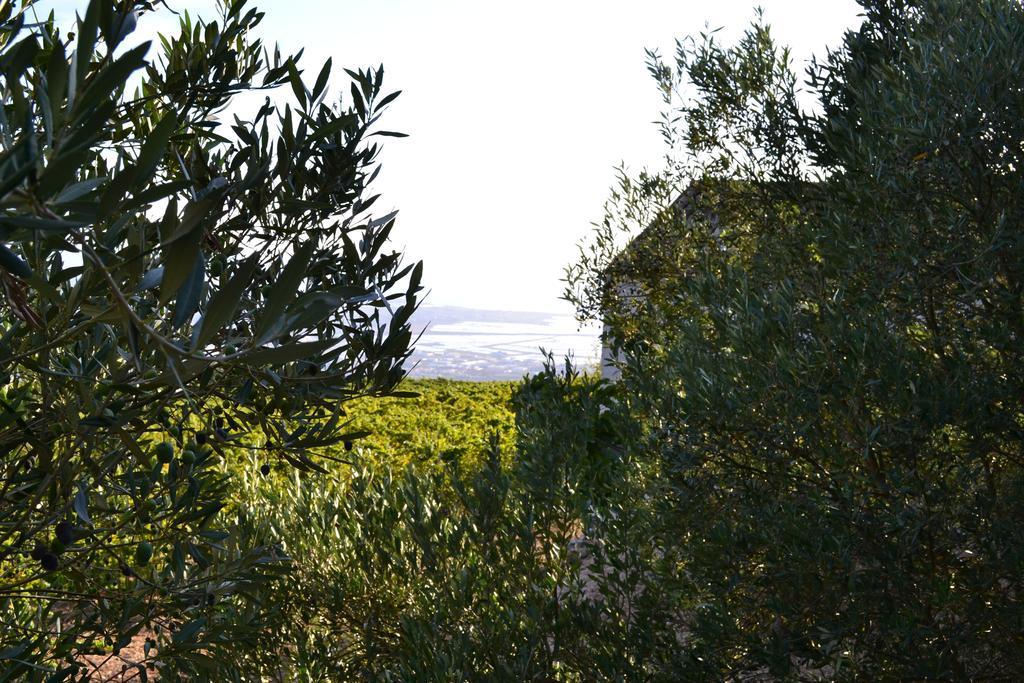 Casa Nel Vigneto Erice Guest House Bagian luar foto